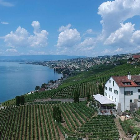 Domaine De La Crausaz Grandvaux 외부 사진